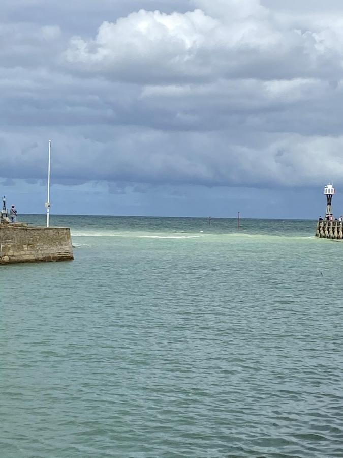 Appartement Super Cosy, Parking Prive Courseulles-sur-Mer